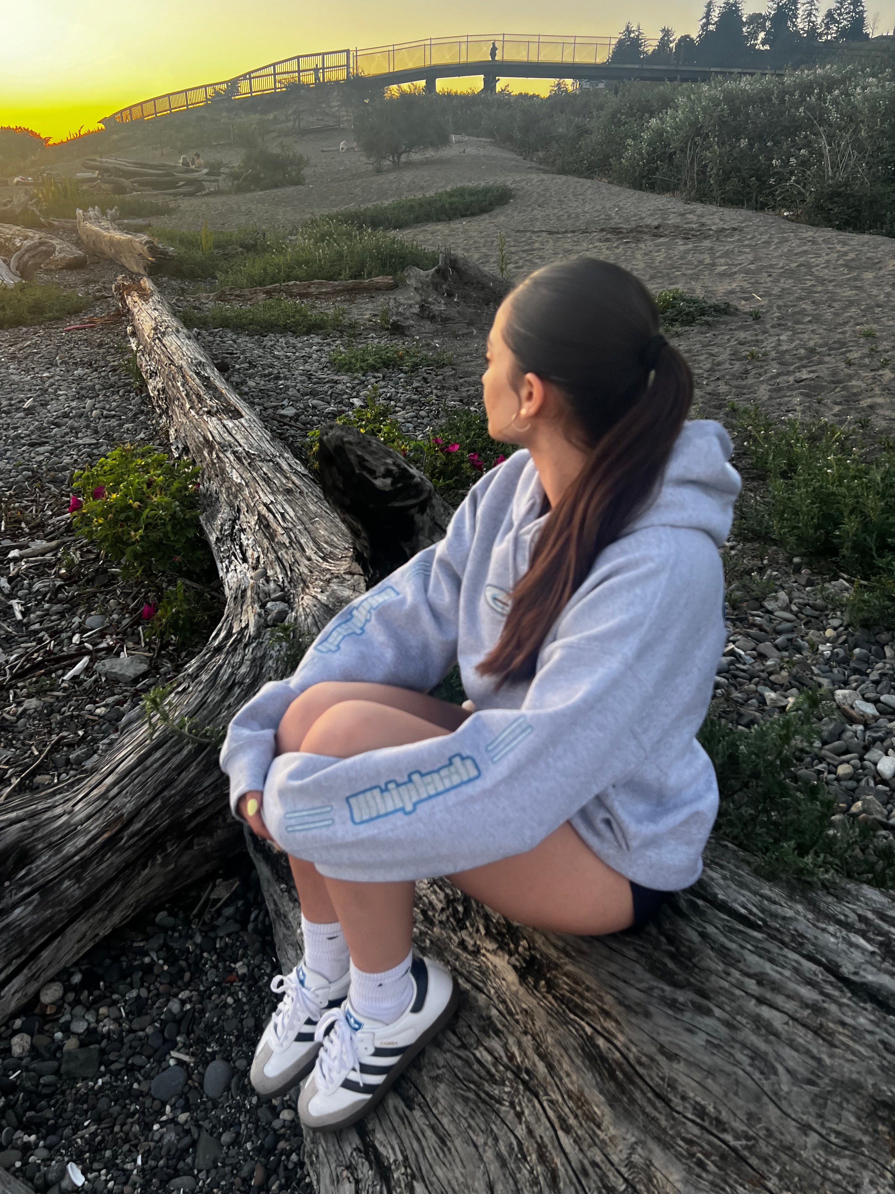 Classic Whiplash Quad-Hit Surf Hoodie